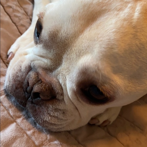 Hat - Picture 4 of 4